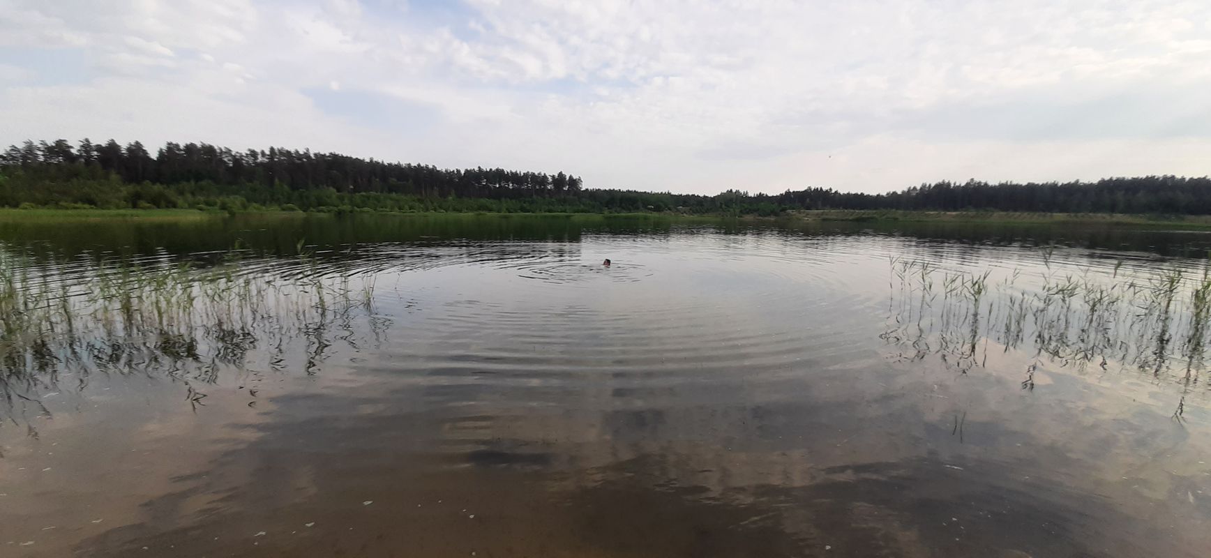 Медленная езда