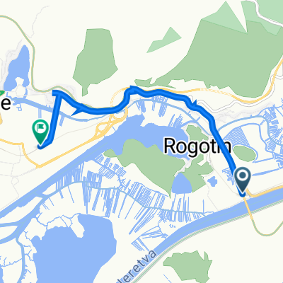 Državna Cesta 8, Rogotin to Ploče