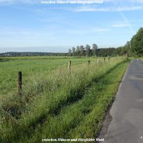 Photo 8 of the Bikemap route "Hünxer Wald 2" Photo 8 of the Bikemap route "Hünxer Wald 2"