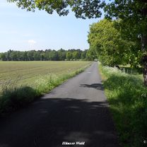 Photo 7 of the Bikemap route "Hünxer Wald 2" Photo 7 of the Bikemap route "Hünxer Wald 2"