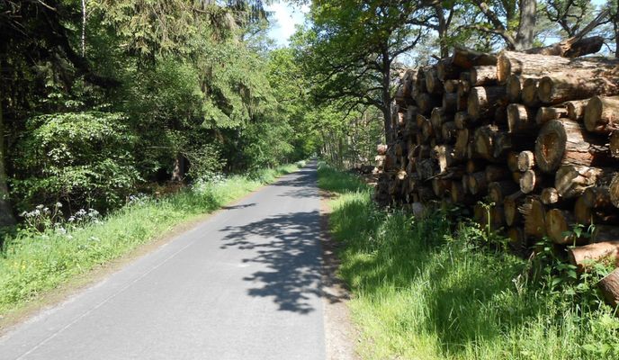 Photo 1 of the Bikemap route "Hünxer Wald 2" Photo 1 of the Bikemap route "Hünxer Wald 2"