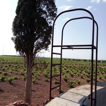 caminó de ropero