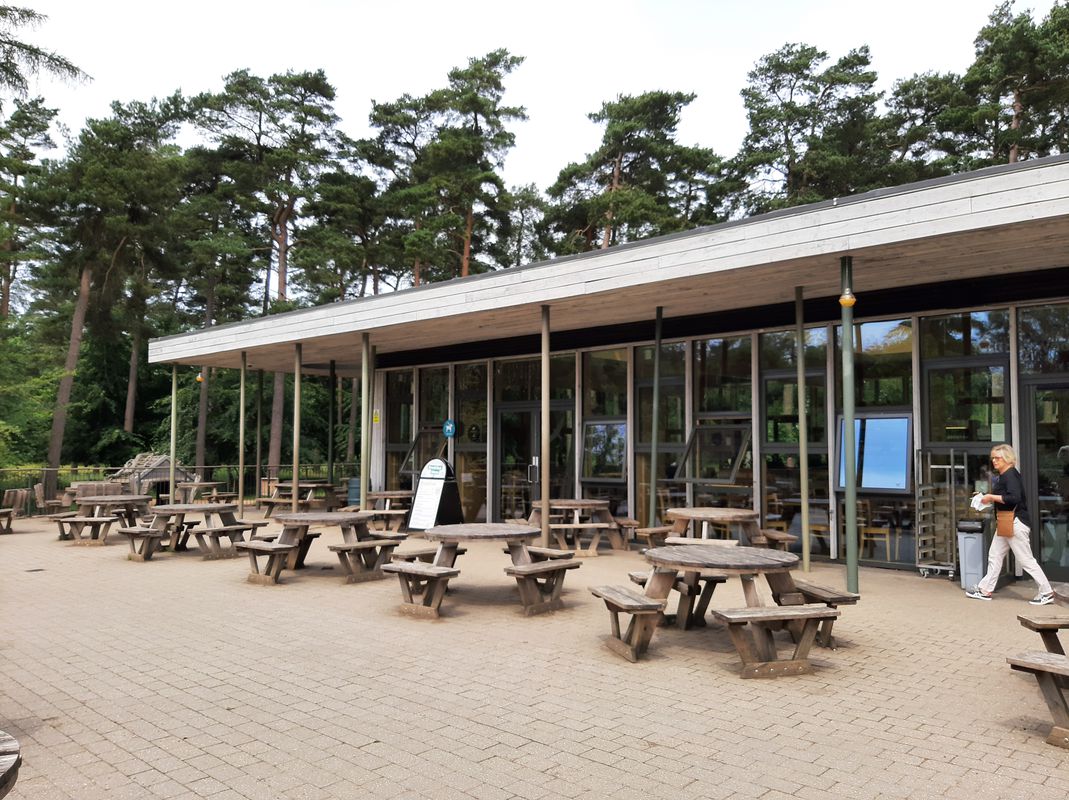 WT, Aston Clinton, Wendover Woods, Wendover  WT