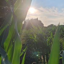 Häuslerei 8, Vellahn nach Feldstraße 8, Vellahn