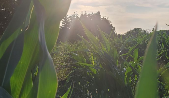 Foto 1 der Bikemap-Route "Häuslerei 8, Vellahn nach Feldstraße 8, Vellahn"