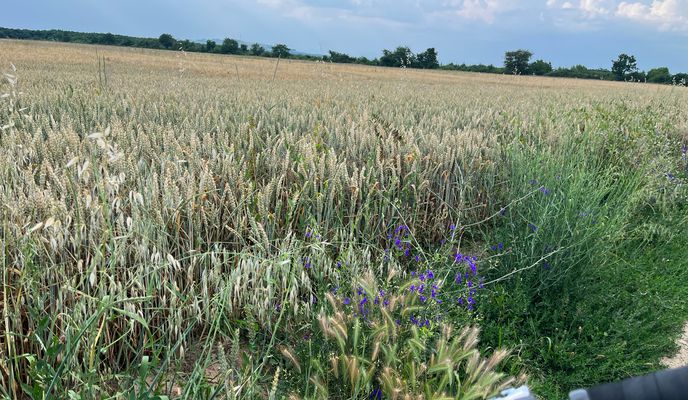 Foto 1 der Bikemap-Route "Ploieşti Cycling"