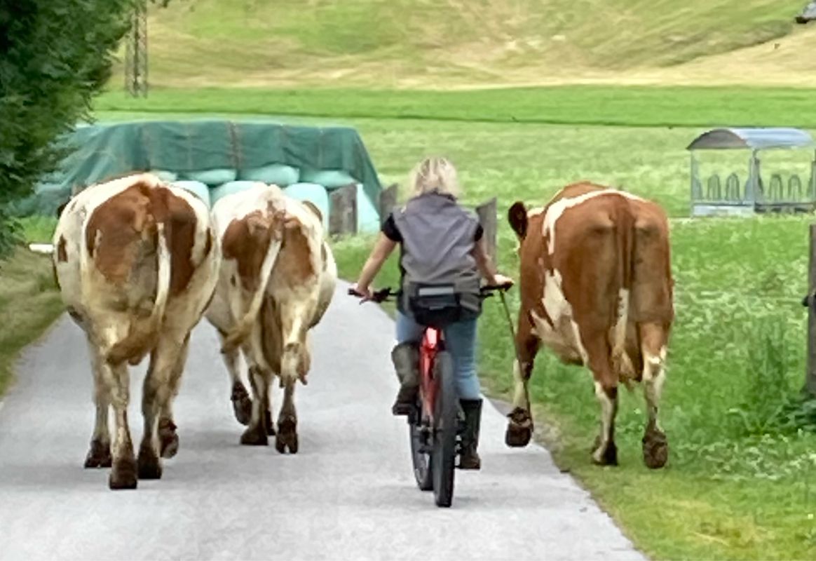 Steinach 12, Bramberg am Wildkogel nach Gerling 2, Saalfelden am Steinernen Meer