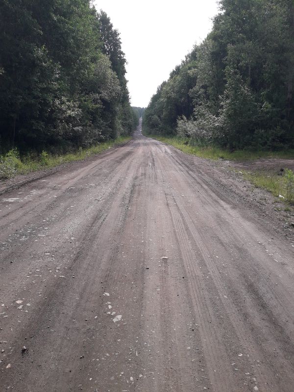 По старым местам