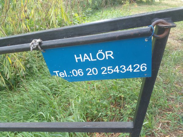 Foto 1: Gábor Budai