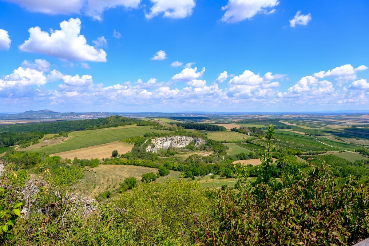Falkenstein, Poysdorf
