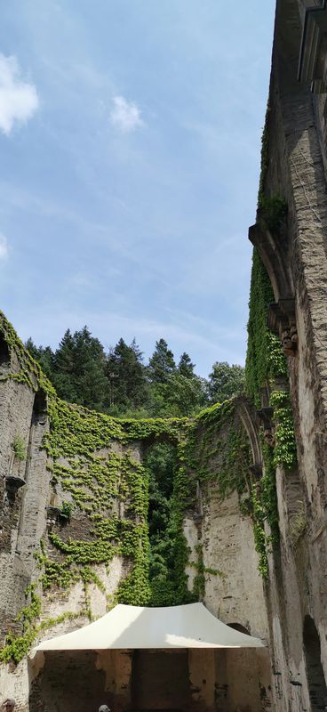 Kloster Marienthal nach Flerzheim
