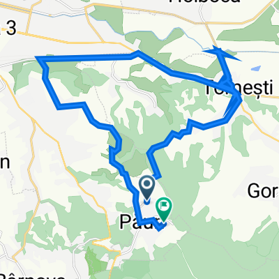 DJ248D 154, Păun to Strada Ferdinand I 60, Păun