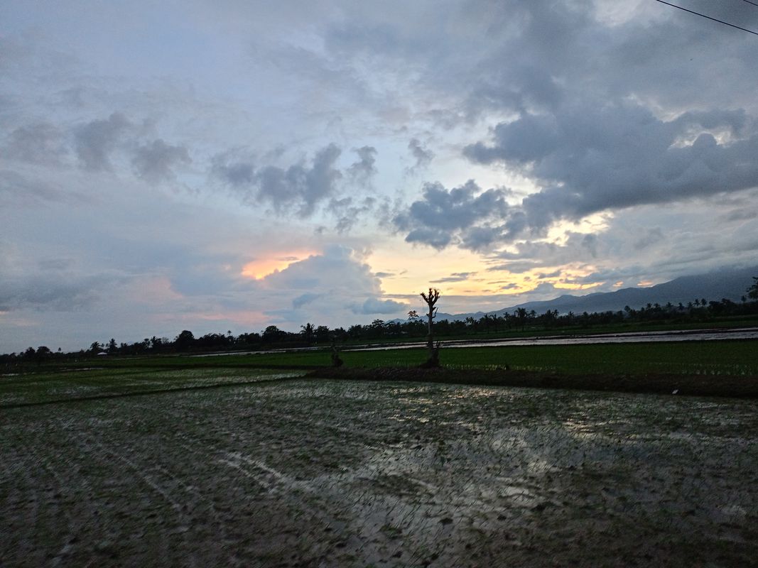 Tuyok Kadauhan Ormoc ez