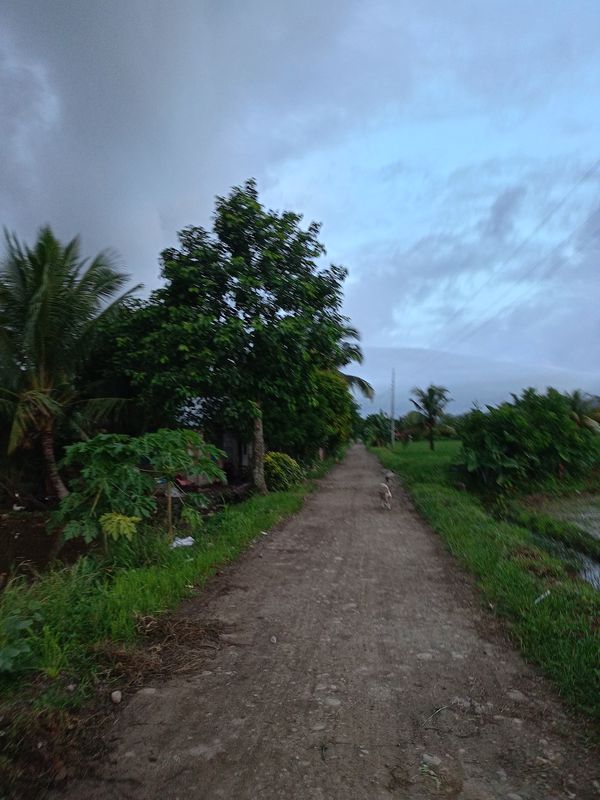 Tuyok Kadauhan Ormoc ez