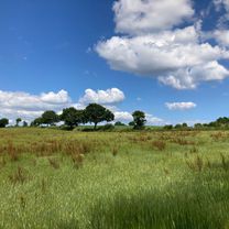 Am Hafen 22, Kappeln nach Holm 1, Eckernförde