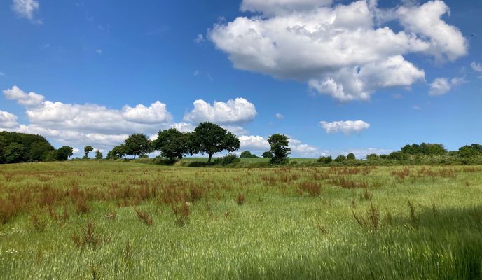 Photo 1 of the Bikemap route "Am Hafen 22, Kappeln nach Holm 1, Eckernförde"