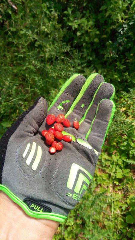 Stara Kremnicka - tlacenie -Pitelova - Jastraba - Nevolne - Kremnica