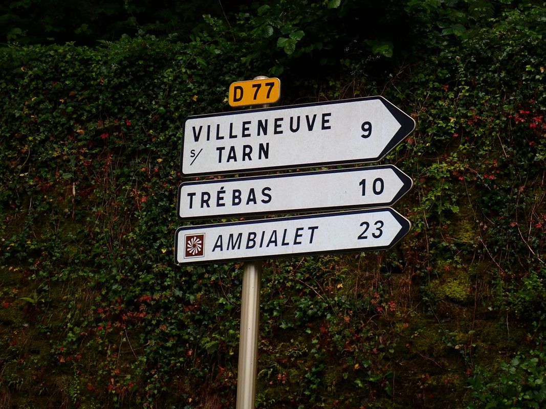Saint-Sernin-sur-Rance to Albi