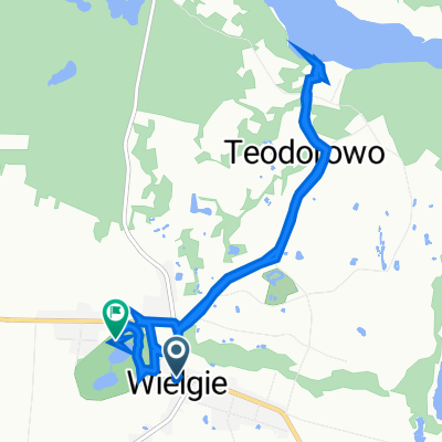 Starowiejska 67, Wielgie do Miodusy, Wielgie
