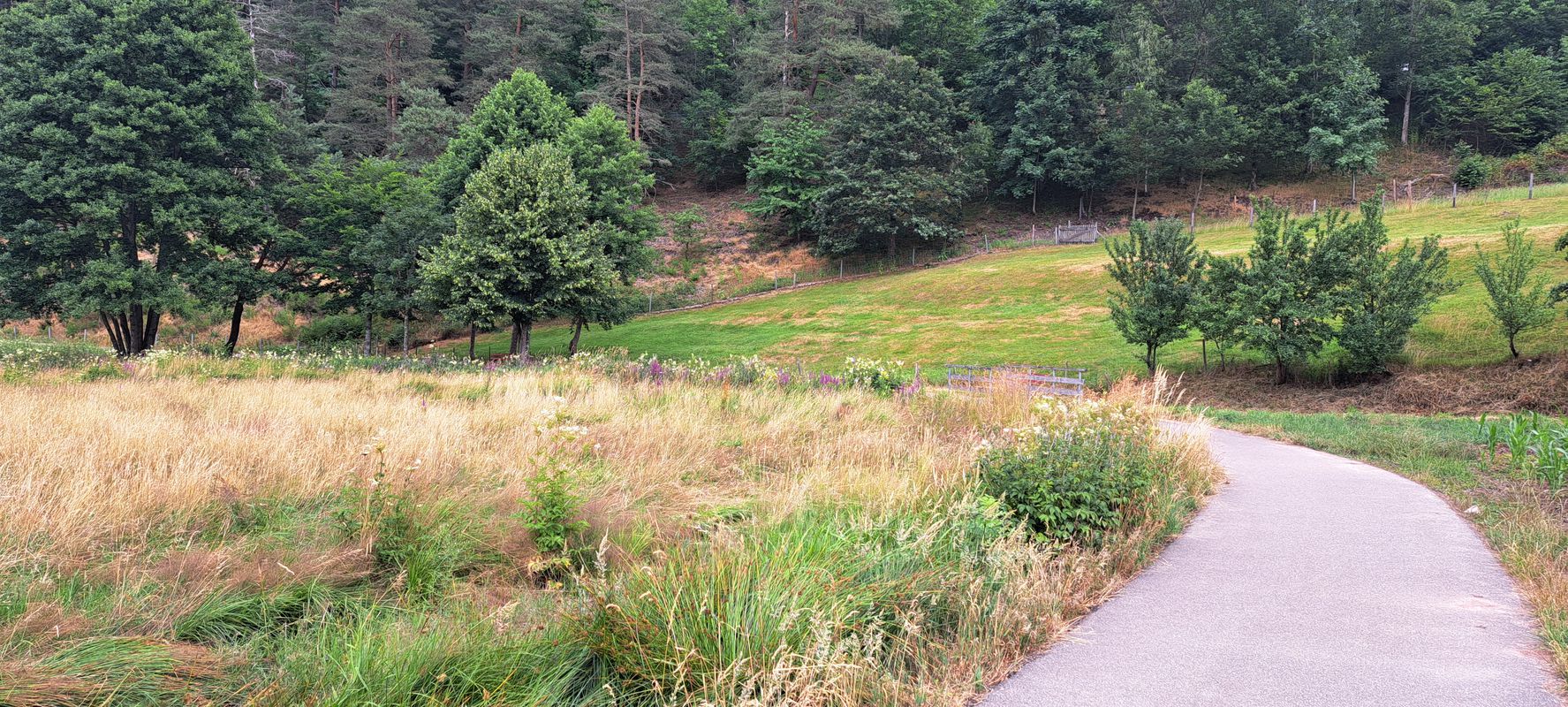 Schiltach - Moosenmättle - Hornberg - Wolfach - Schiltach