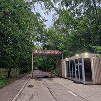 солнце лес шашлык и грязь