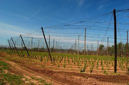 Hebe Bild 1 entlang der Bikemap-Route "Do nížiny na Stekník a Líčkov" hervor Hebe Bild 1 entlang der Bikemap-Route "Do nížiny na Stekník a Líčkov" hervor