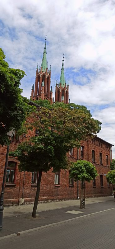 Puszcza Bolimowska po raz kolejny