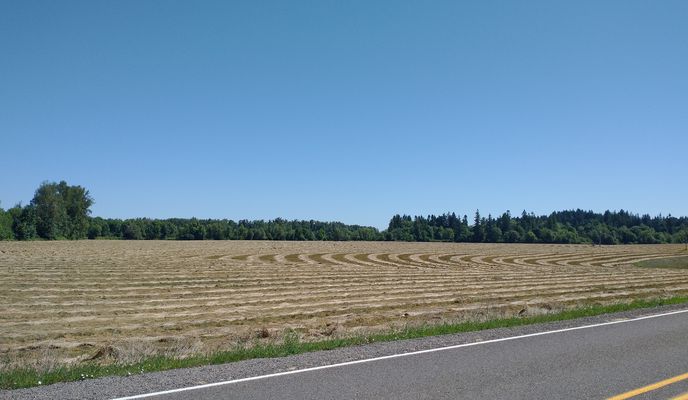 Photo 2 of the Bikemap route "Willamette mission state park to Hubbard OR"