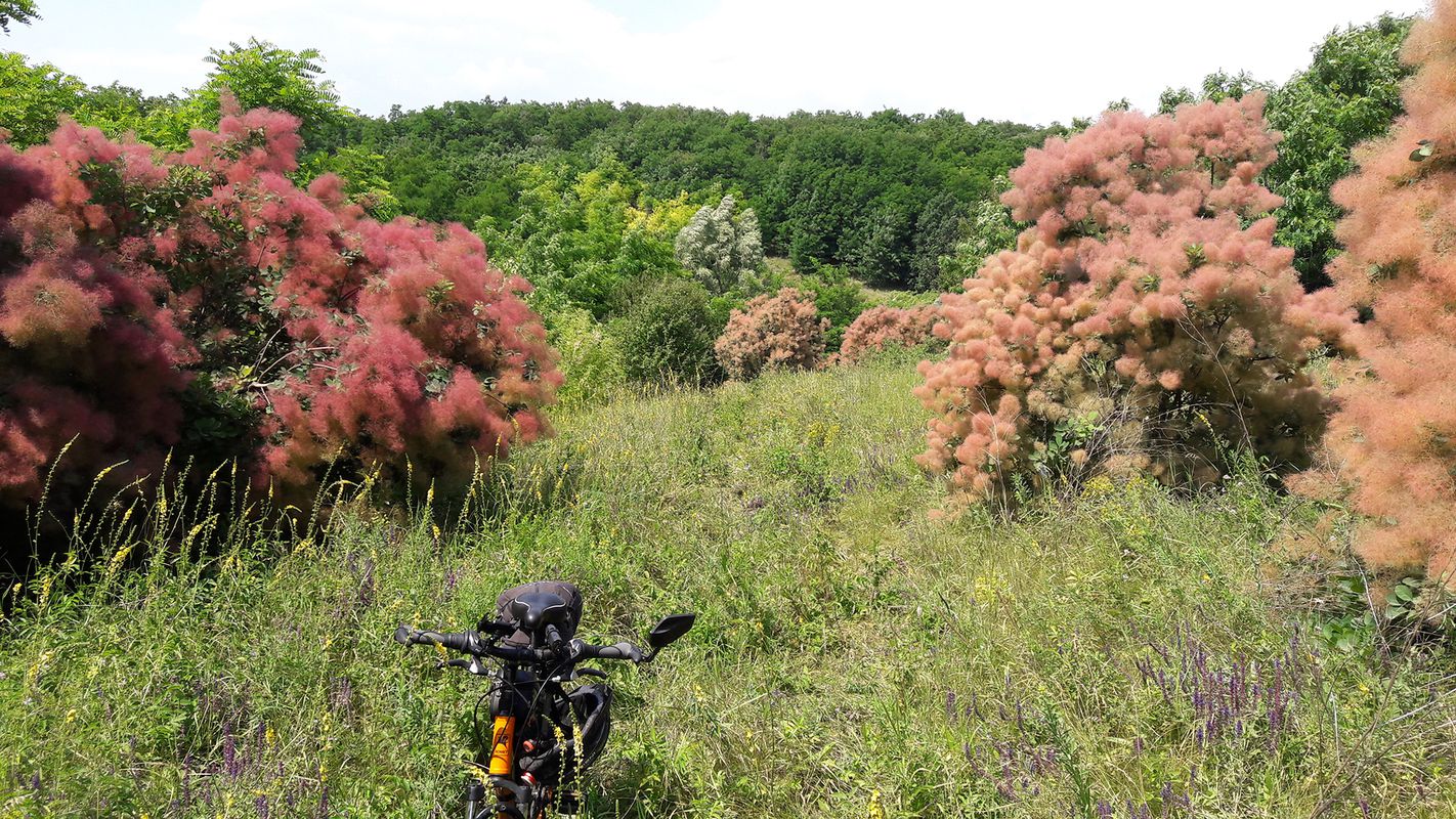 Gravel ride 58