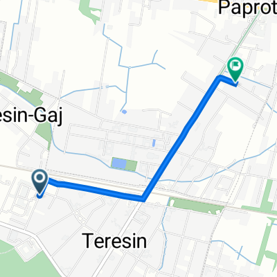 guzowska 1, Teresin do Srebrna 8, Paprotnia