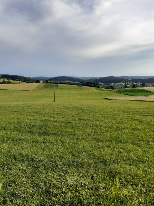 Grenzstrasse, Sagberg, Hochkraml, Vorderschiffl, Kohlstatt