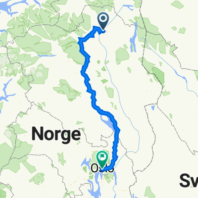 Tynset to Oslo