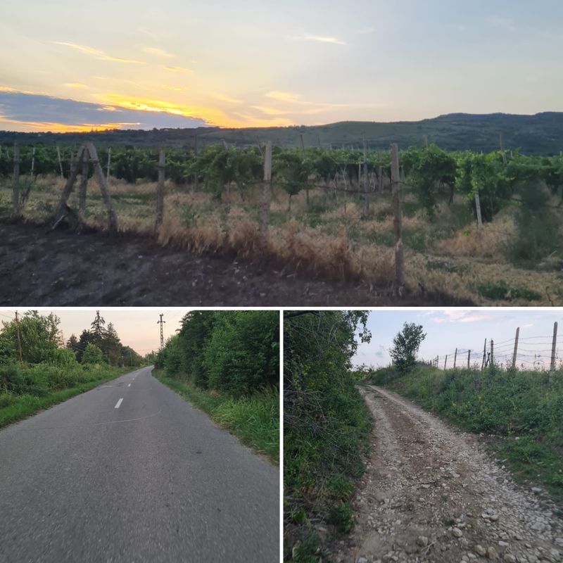 Pietroasele - Cloșca cu puii de aur - Breaza - Pietroasele
