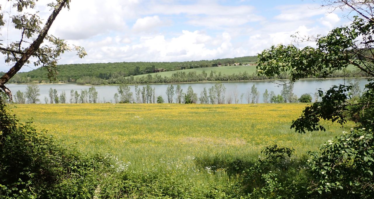 Montauban - Circle toward Nègrepelisse