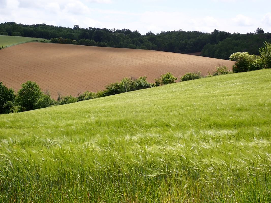 Montauban - Circle toward Nègrepelisse