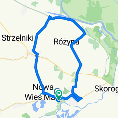 11A, Kantorowice to Kantorowice
