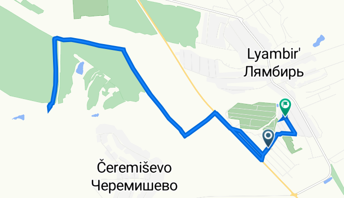 Аграрная улица, Лямбирский район до Рабочая улица, 20, Лямбирь