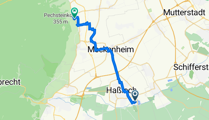 Eschenweg 3, Haßloch nach Weinstraße 2, Wachenheim an der Weinstraße
