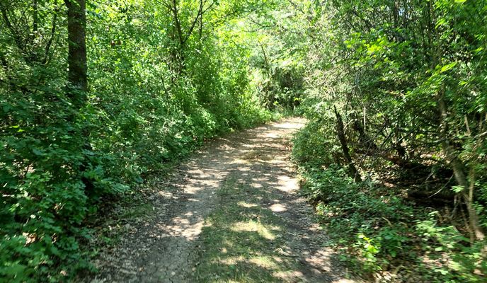 Photo 2 of the Bikemap route "Balatonfüred kör 4  (Tihany belső)"