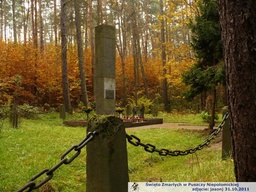 Highlight 2 along the Bikemap route "Groby w Puszczy"