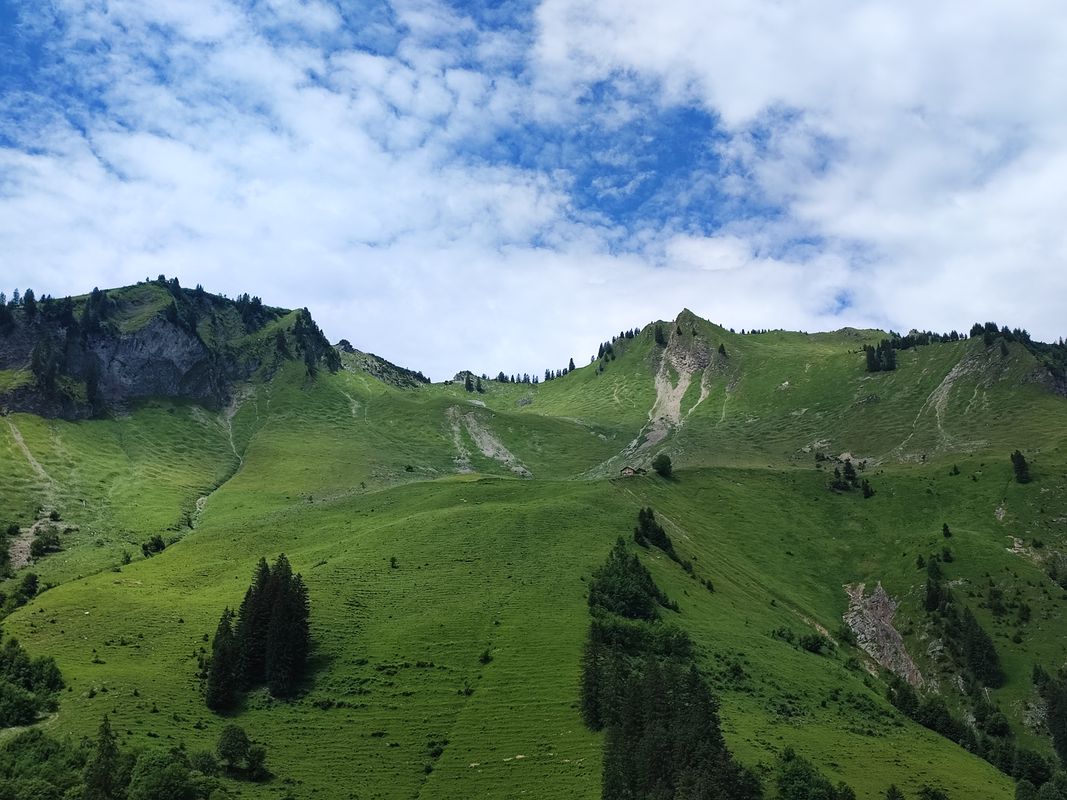 Gemütliche Fahrt
