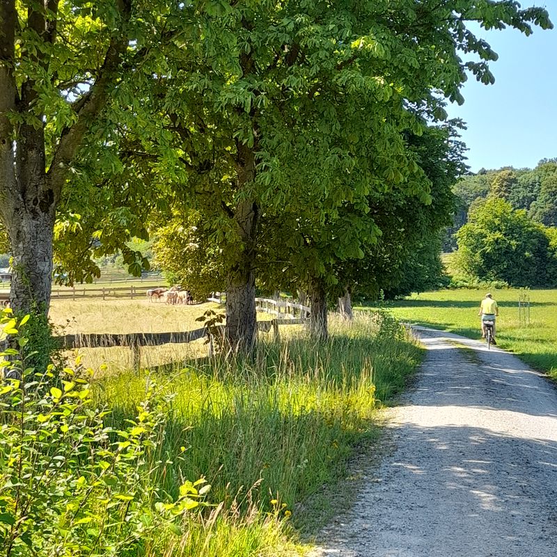 Wahmbeck Derenthal Lauenförde Wahmbeck