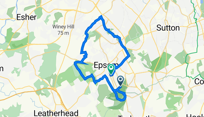 College Ward, Epsom to 16 Birches Close, Epsom