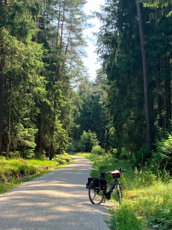 Rundkurs von Erlheim Gasthof Erras über Biergarten Waldhaus Höhenweg durch Hirschwald