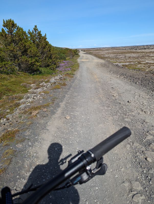 Grindavíkurvegur do Sólbrekkuskógarvegur
