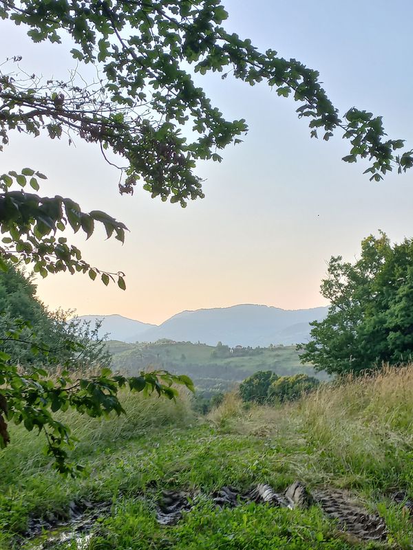 Travnik-Dolac na Lašvi-Pokrajčići-Guča Gora-Mosor-Travnik