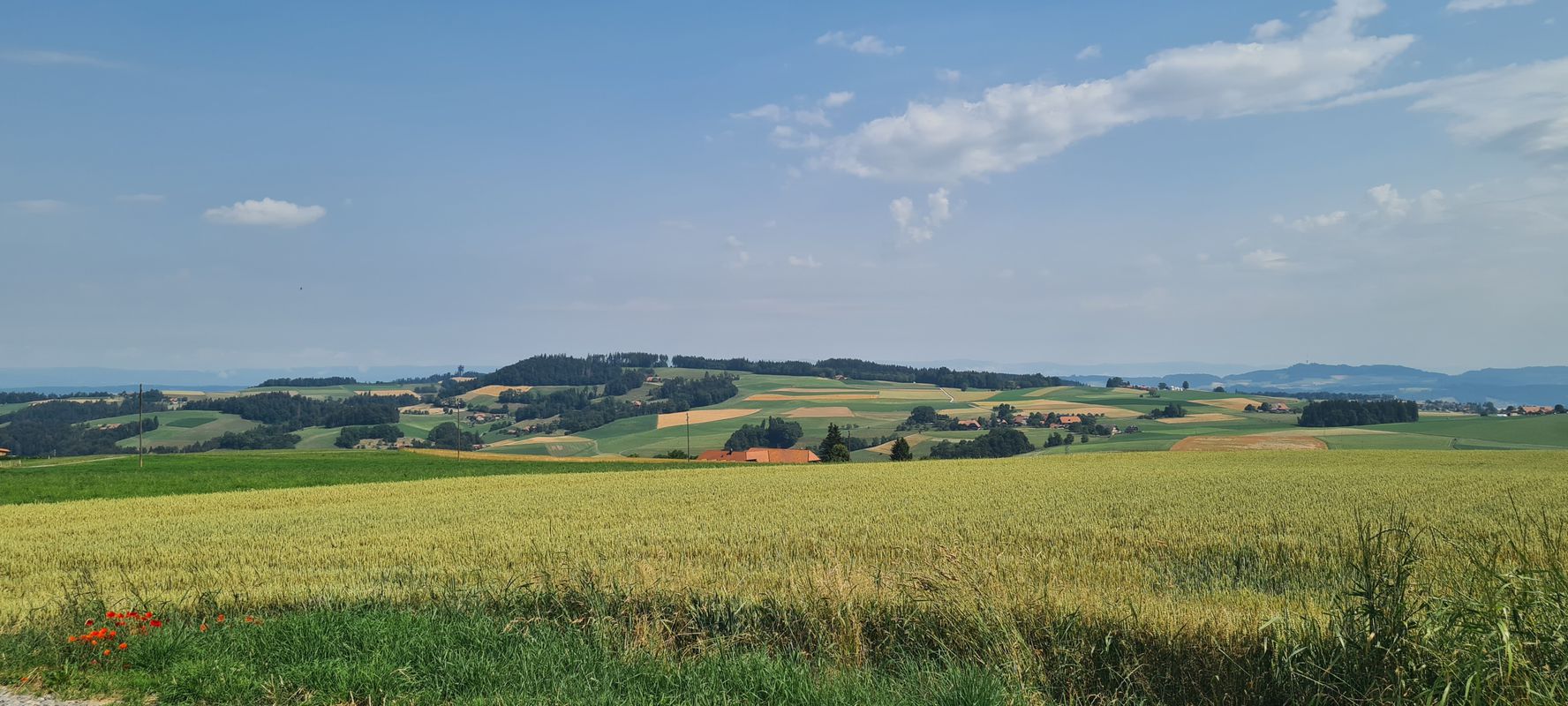 Zimmerwald - Uecht - Bütschelegg - Niederscherli - Bern