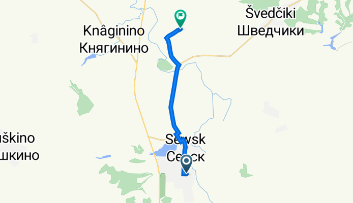 улица Тургенева, 3–5, Севск до улица Петуховка, Село Новоямское