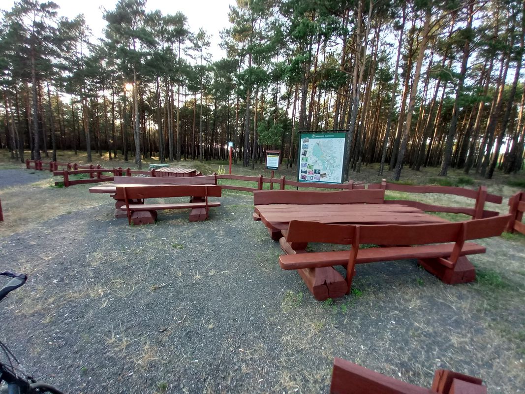 Kółko pierwsze po zabiegu