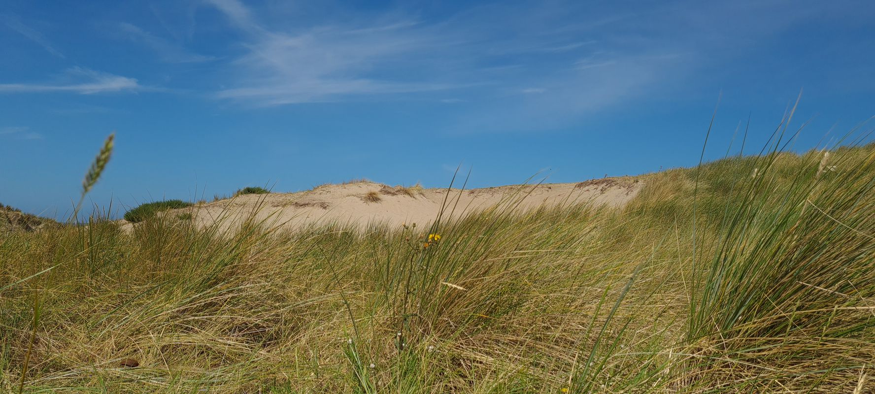 Boulevard Paulus Loot 35, Zandvoort nach Tulp en Zee 21, Noordwijk